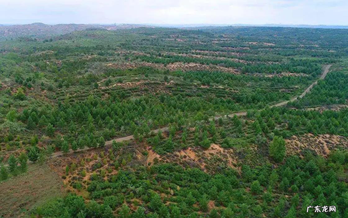 与往年相比,今年入汛前的黄河水格外清澈,为何?
