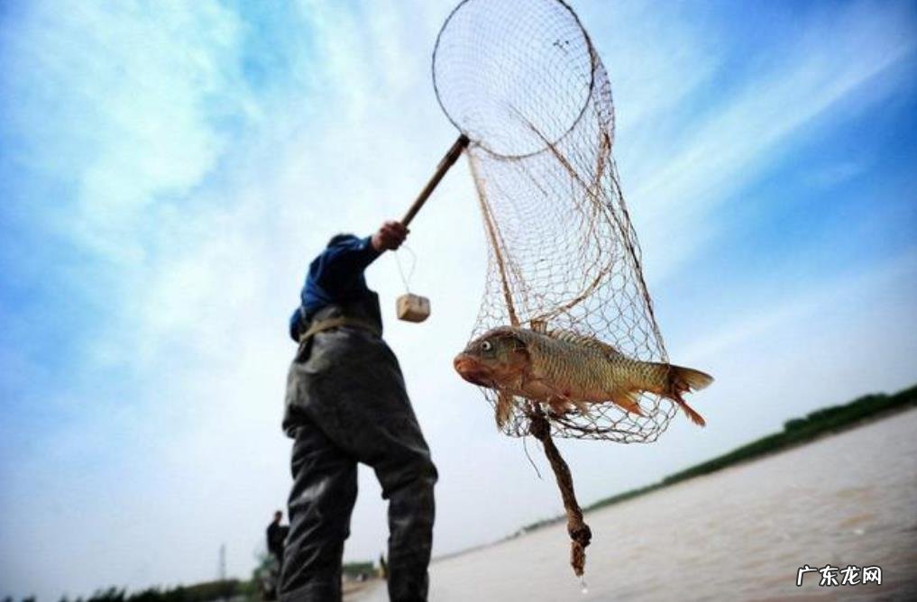 与往年相比,今年入汛前的黄河水格外清澈,为何?