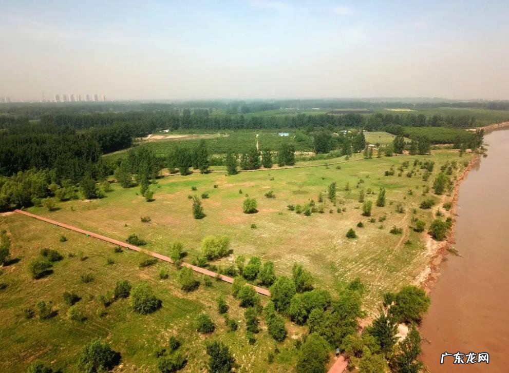 与往年相比,今年入汛前的黄河水格外清澈,为何?