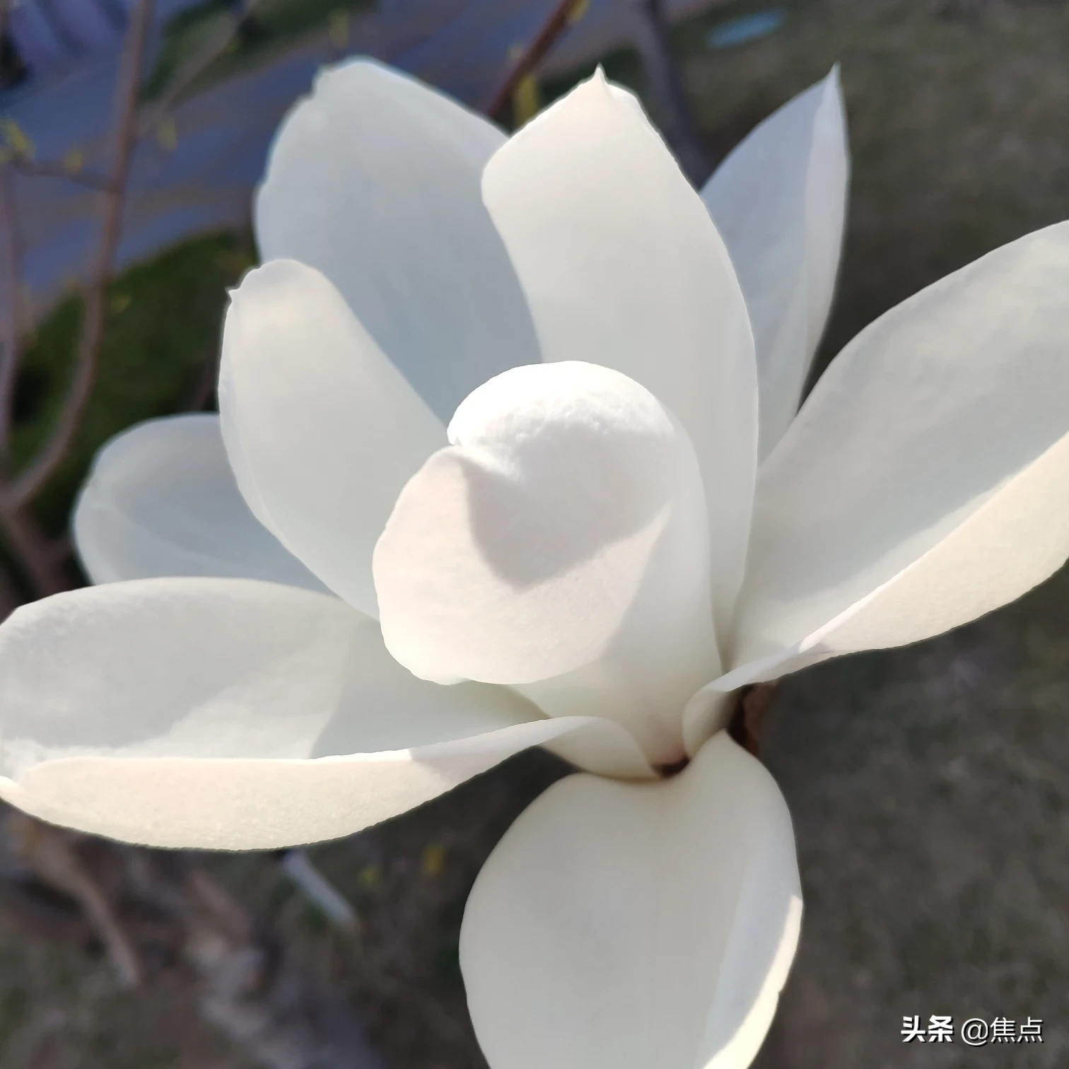 五一期间你会去自驾游吗?为什么?