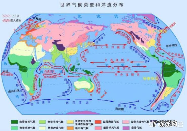 智利极端干旱沙漠小镇迎来降雪,居民:30年未见,今年会更冷吗?