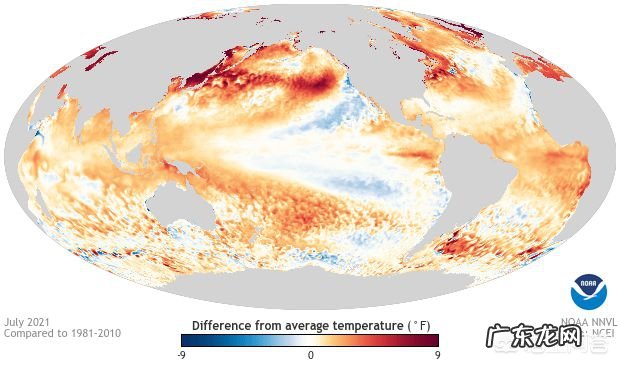 智利极端干旱沙漠小镇迎来降雪,居民:30年未见,今年会更冷吗?