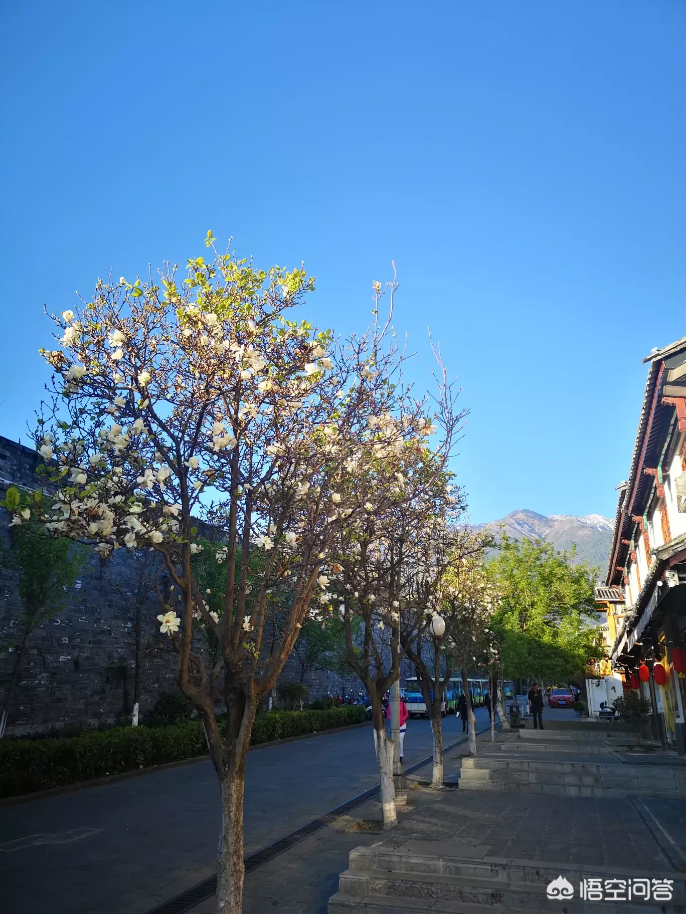 旅行团到丽江必须换丽江本地导游才能玩好吗?