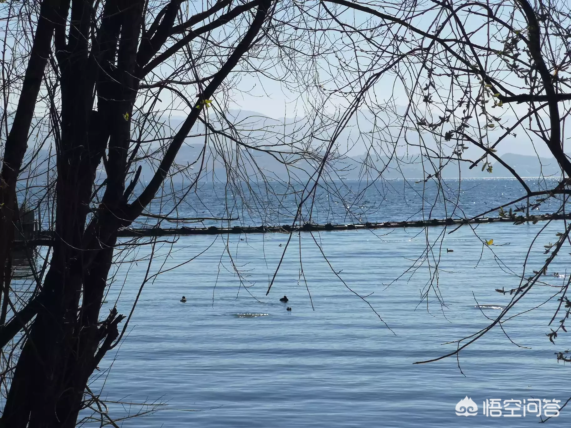 旅行团到丽江必须换丽江本地导游才能玩好吗?