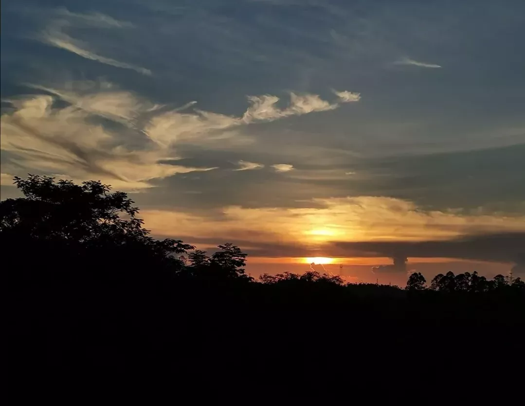 晚上睡不着觉的时候,你会干什么?