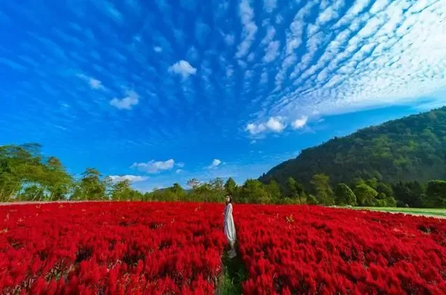 在现实生活中忽然感觉一幕似曾相识,像是以前经历过,又像是做过的梦,你也有过这种情况吗?