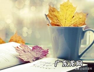 怎样读书才是会读书呢?