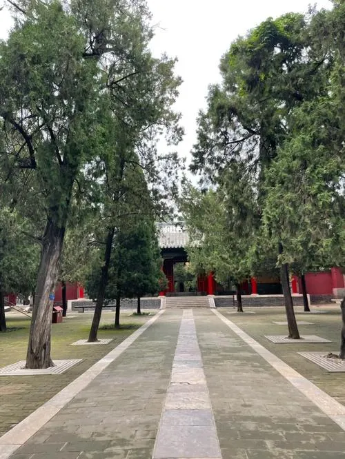 有个山东男朋友是什么体验?