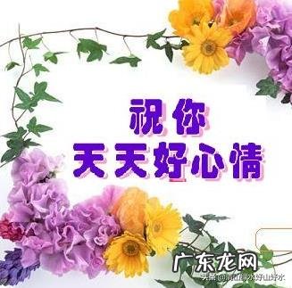 怎样才能拥有好心情？