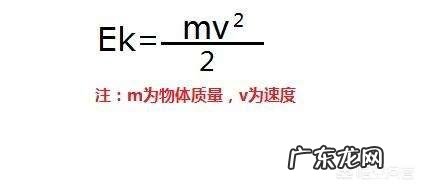为什么蚂蚁从高处落下摔不死?
