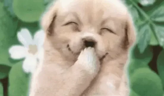 有什么笑话可以笑一辈子?