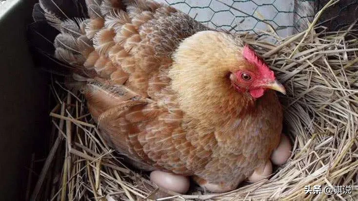 有人相信有男生一辈子只爱一个女生吗?