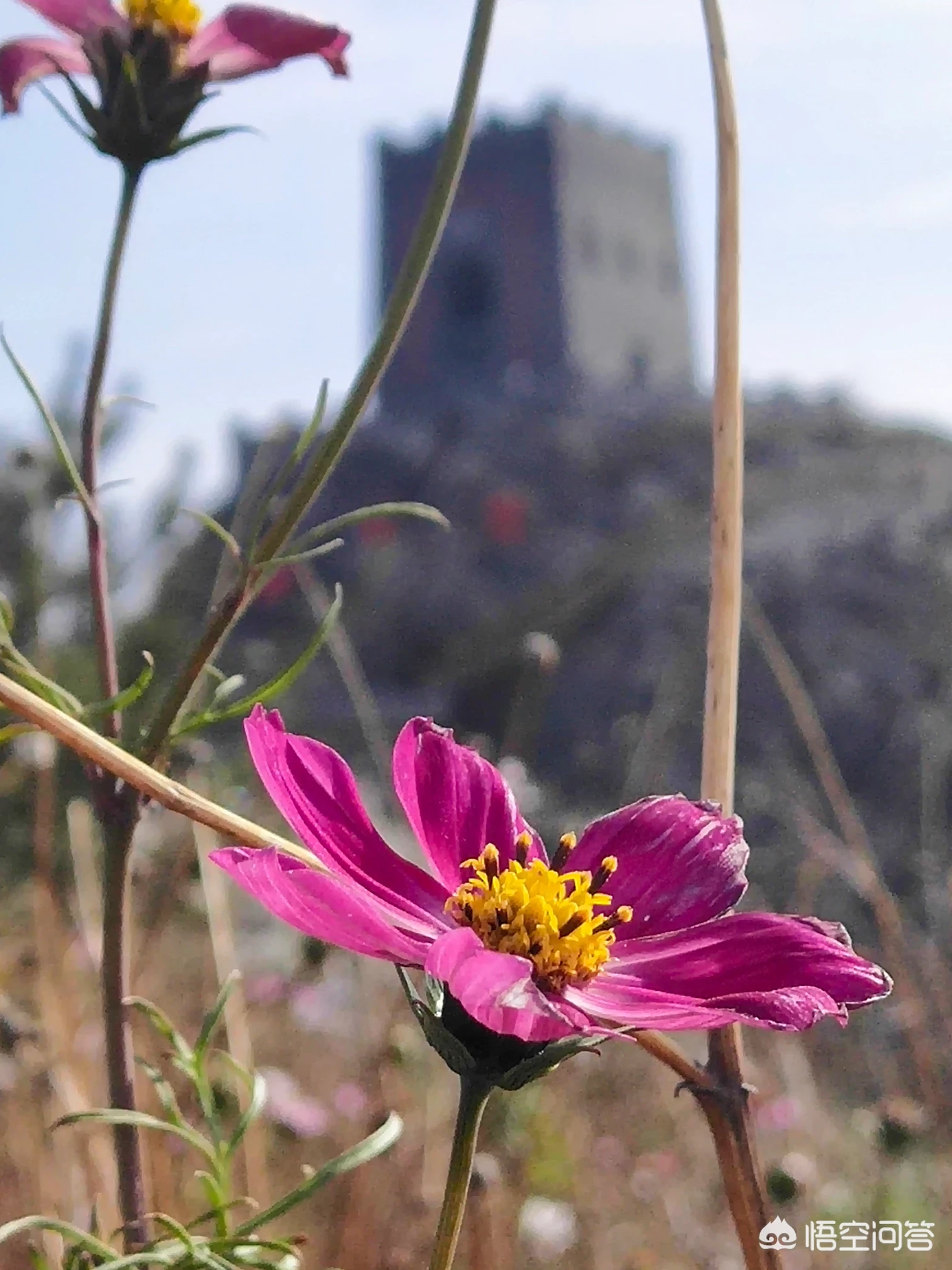 在邯郸涉县,有哪些自驾纯自然风光旅游线路?