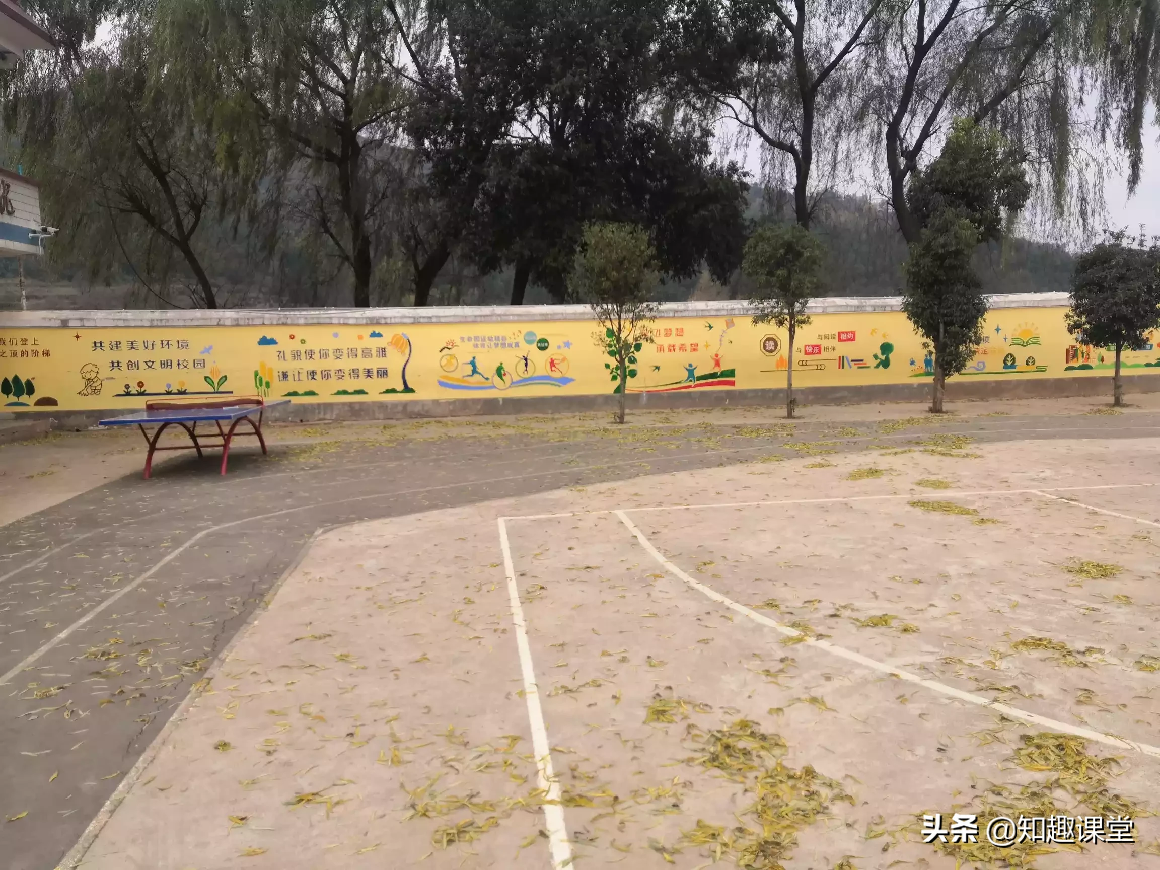 孩子小学四年级,成绩特别不好,老师放弃了,家长怎么办?