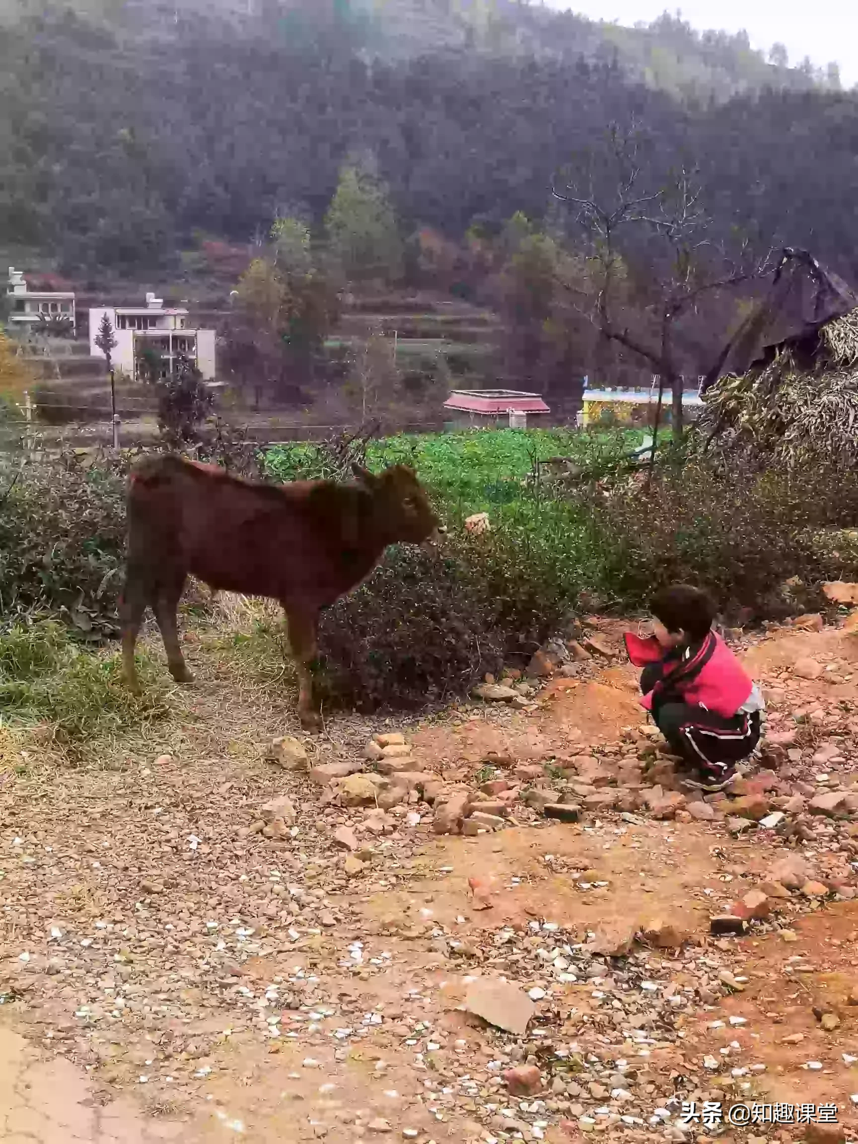 孩子小学四年级,成绩特别不好,老师放弃了,家长怎么办?