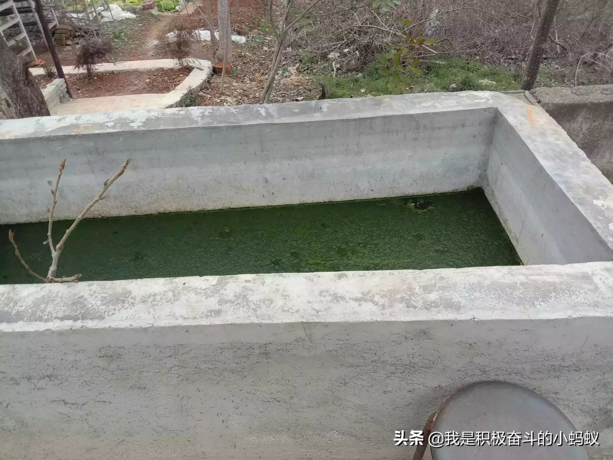 搞个小型的蘑菇种植场需要多少钱?