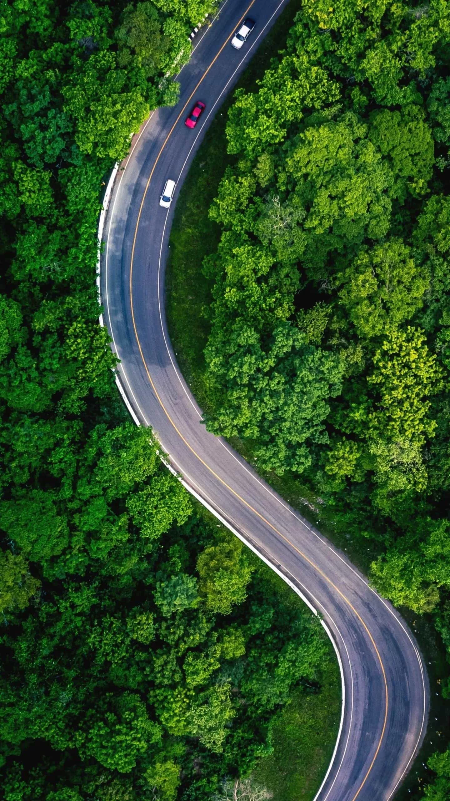 有哪些特别管用的人际交往小常识?