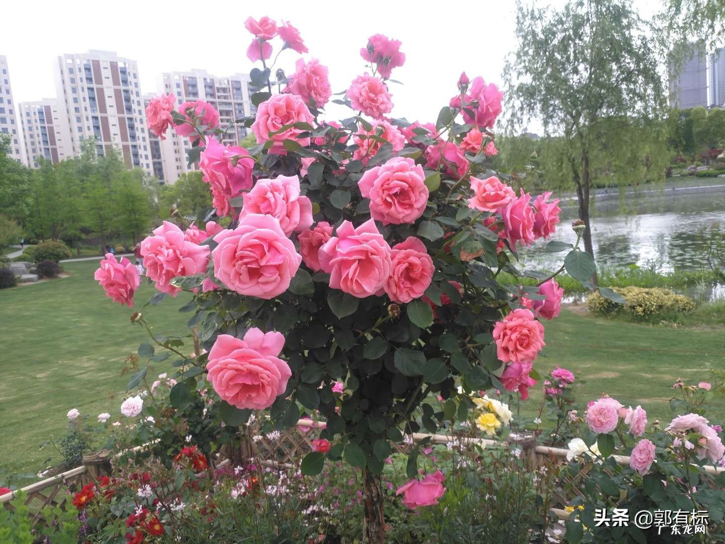 有哪些特别管用的人际交往小常识?