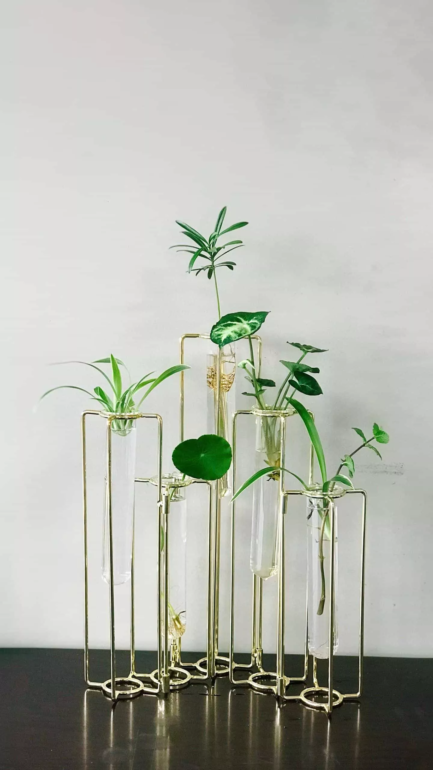 有哪些特别管用的人际交往小常识?