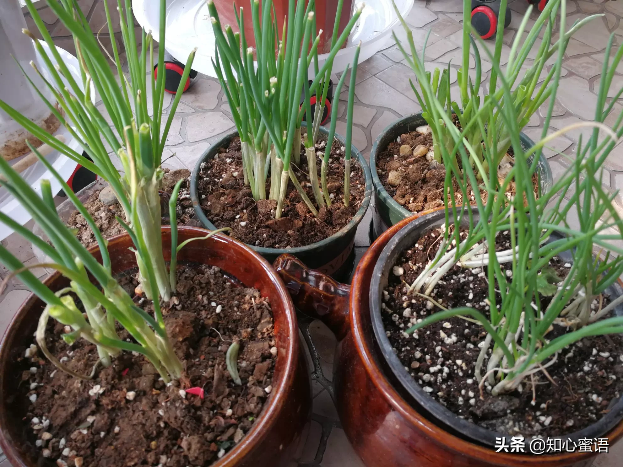 既有趣又实用的生活小技巧,大家有吗?