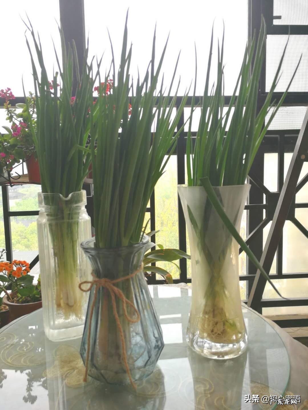 既有趣又实用的生活小技巧,大家有吗?