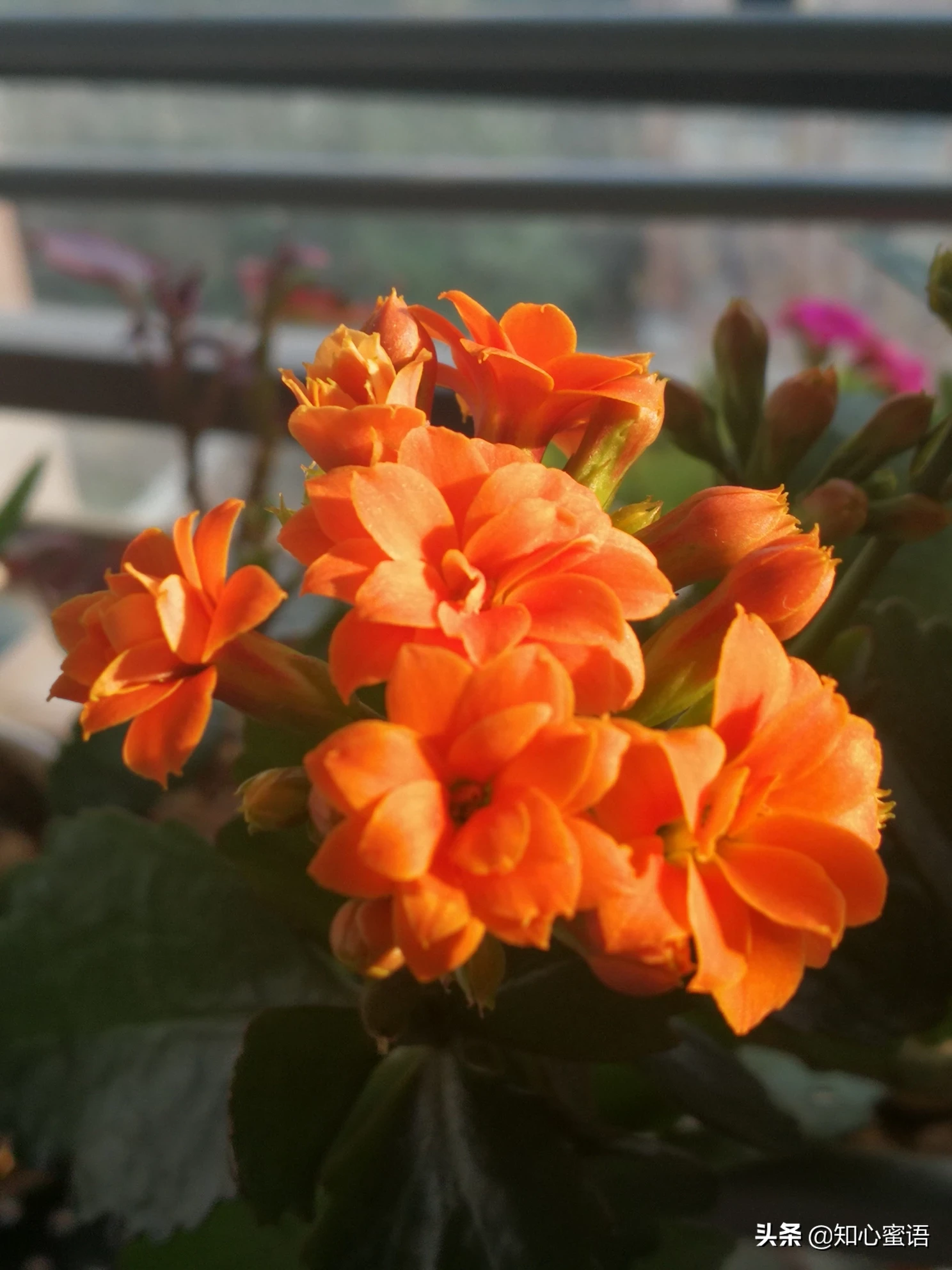 既有趣又实用的生活小技巧,大家有吗?