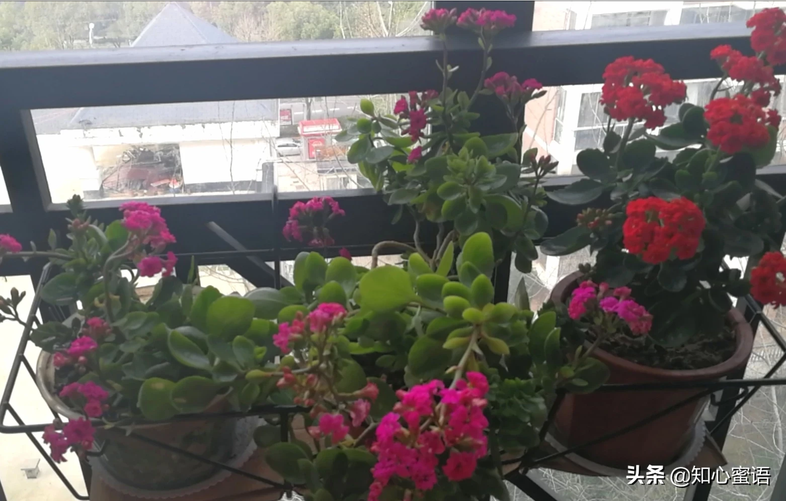 既有趣又实用的生活小技巧,大家有吗?