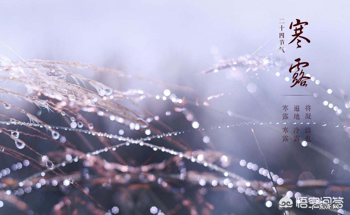 民间谚语:“白露不露身,寒露不露脚”什么意思?