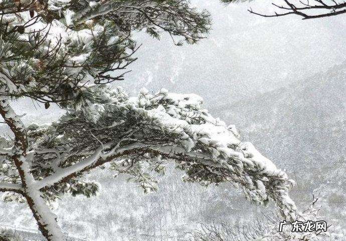包含数字的诗词名句都有哪些?
