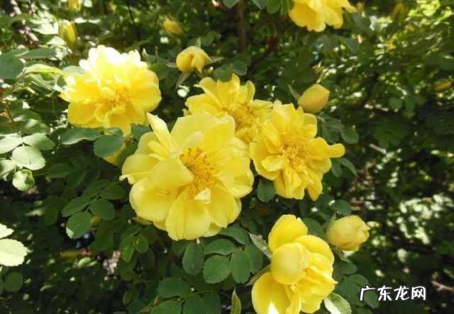 包含数字的诗词名句都有哪些?