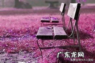 有的人说，一个人爱回忆过去说明老了，有不同看法吗？