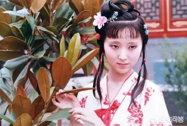 林黛玉为何说自己是草木之人?