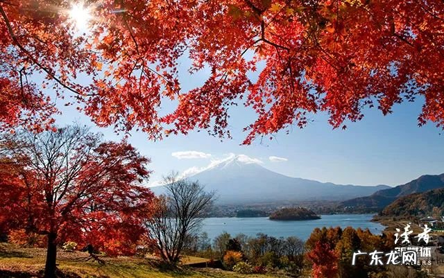 我有酒,你有故事吗?