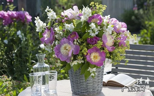 我有酒,你有故事吗?