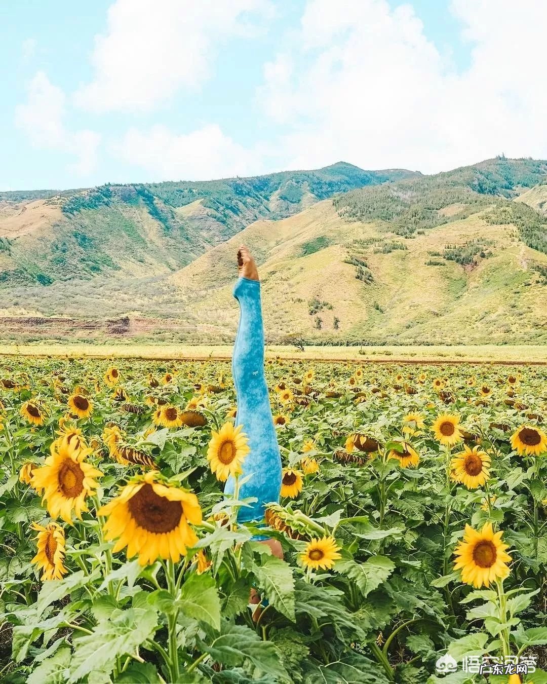 早晨最好的运动是什么？