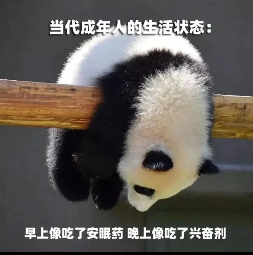 有哪些笑死又笑活的爆笑段子?