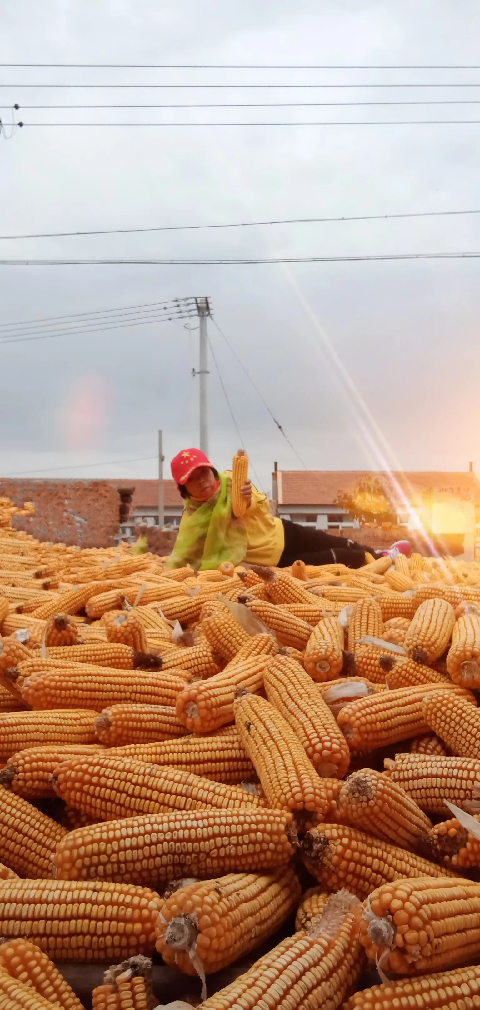 夜深人静的时候,你是怎么排解孤独的?