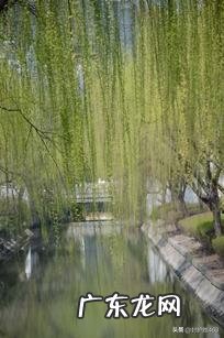 晒晒你眼中的春天是怎样的？