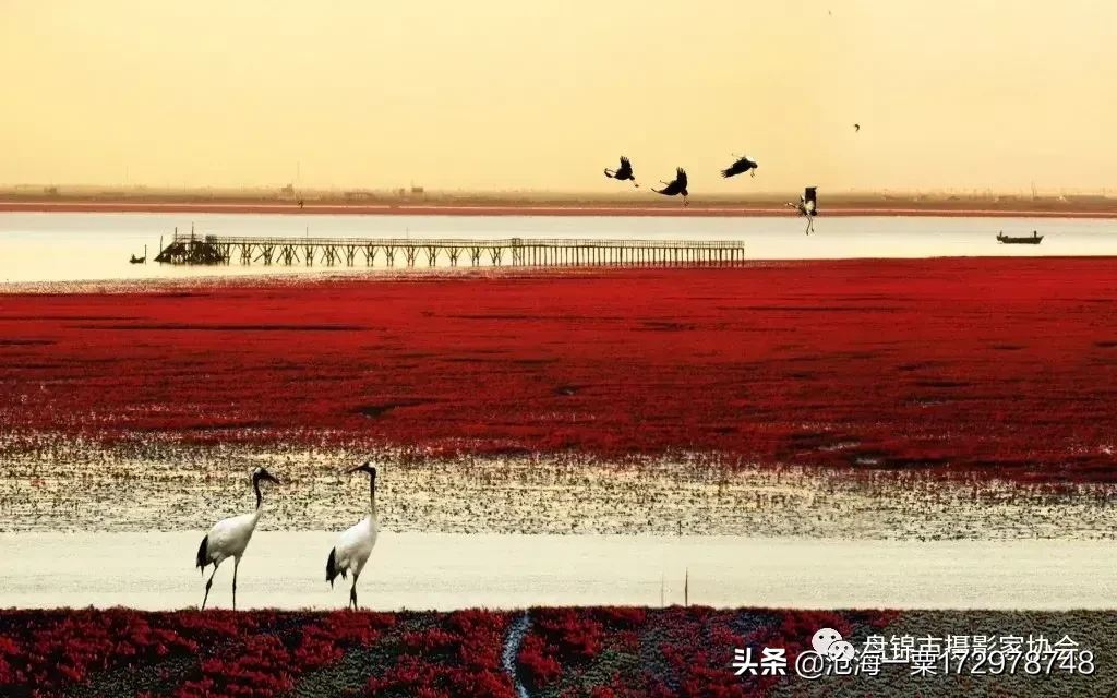 有没有人给我推荐一些好书?