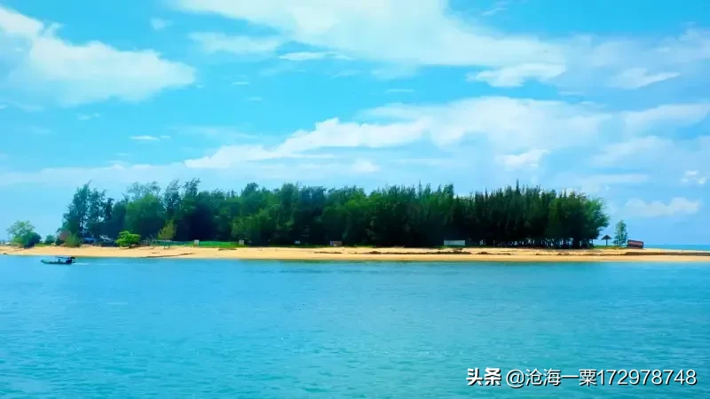 有没有人给我推荐一些好书?