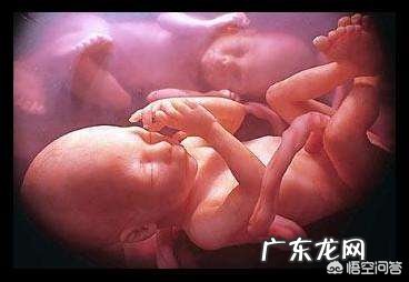 怎样才能怀上双胞胎?