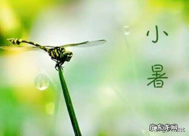 在农村,小暑为什么要吃黄鳝,小暑黄鳝赛人参是什么说法?