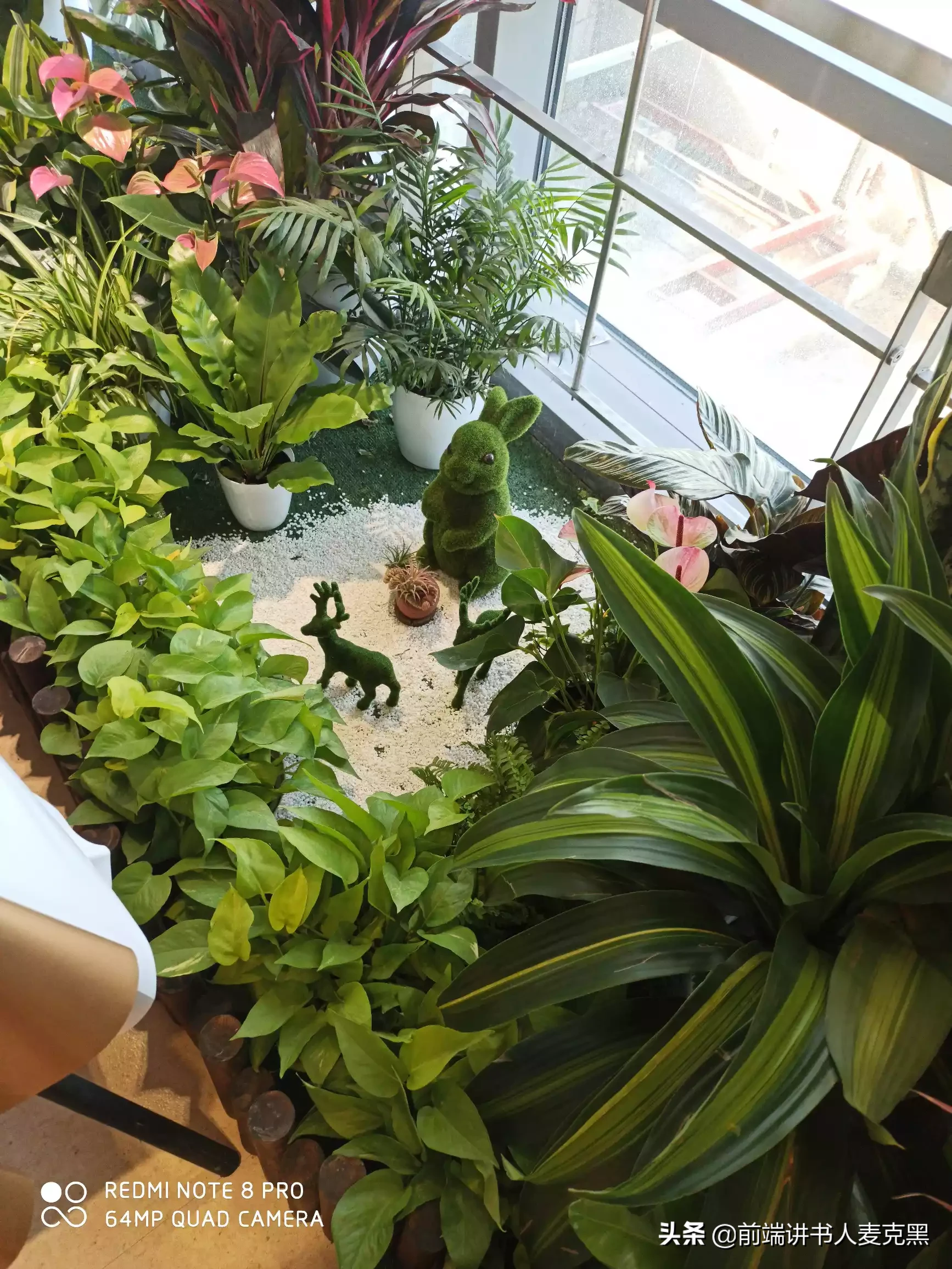 有哪些很干净文艺的句子?