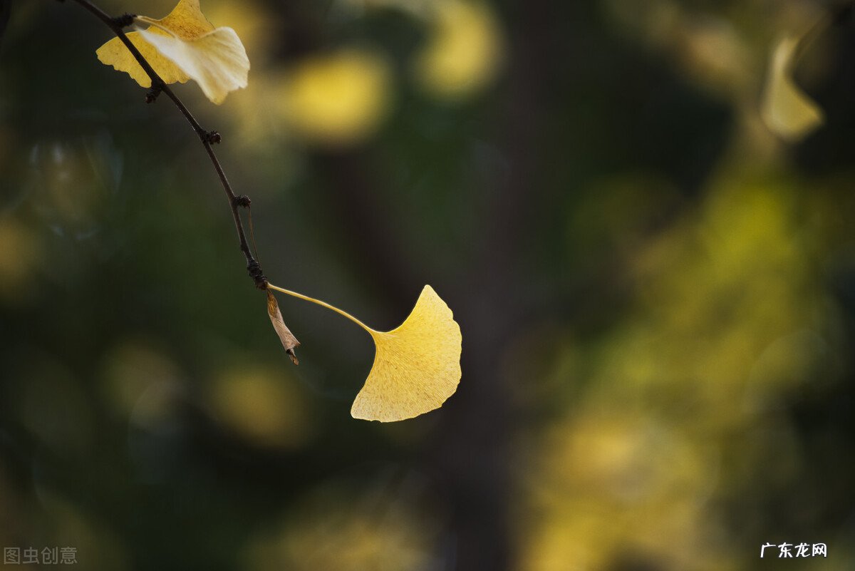 有哪些很干净文艺的句子?