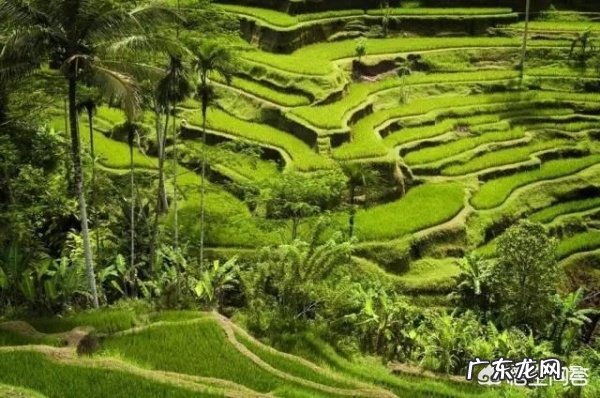 想去巴厘岛拍婚纱照,需要注意哪些问题?