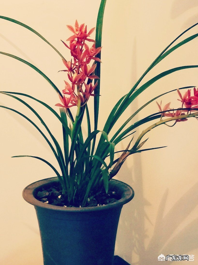 朋友做的哪一件事情让你感动过?