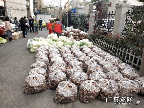 捐赠武汉的蔬菜是如何分配的?