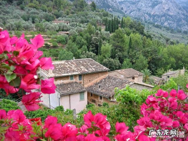 根据图片依蒙小诗邀请你看图写诗,你想好了吗?