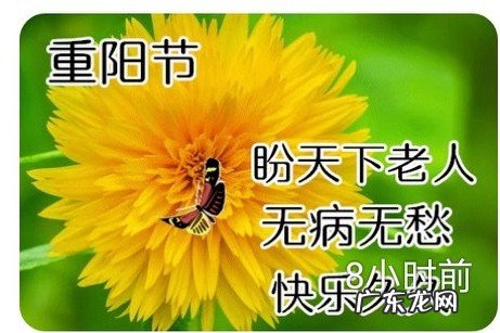 有哪些关于九九重阳节的优美句子,分享一下?