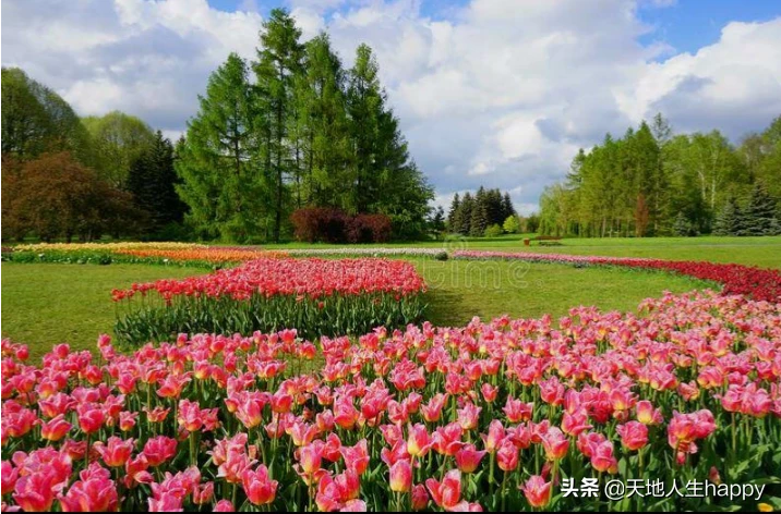 有没有什么能发随笔心情之类的地方?